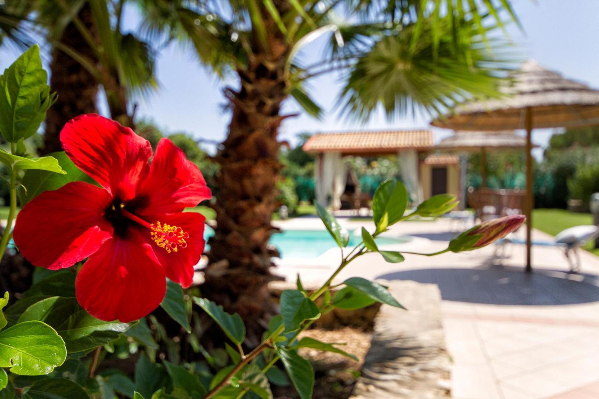 Villa con Piscina Privata